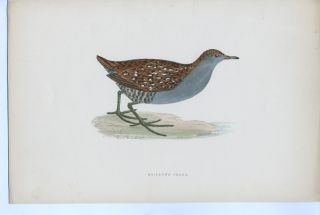 1851   A History of British Birds   6 Volumes   F.O.Morris   Rare
