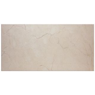Spicewood 12 x 24 Polished Marble Tile in Crema Marfil