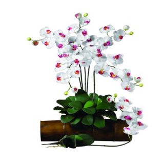 Nearly Natural Phalaenopsis Stem in White (Set of 12)   2044 WH 12