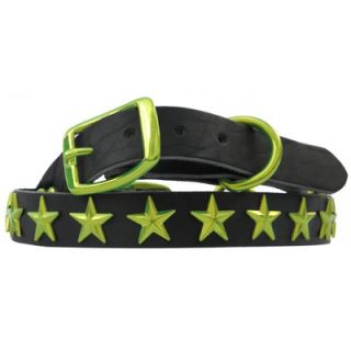 Platinum Pets 15 Genuine Leather Cat / Puppy Collar with Stars in
