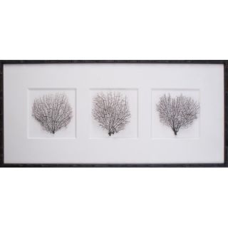 Mirror Image Home 17.25 Tryptich Sea Fans Art
