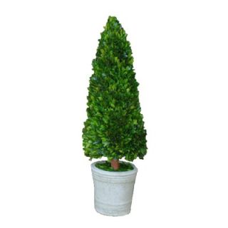 Mills Floral Boxwood 30 Cone Topiary   8528SS0101