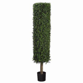 54 Round Boxwood Topiary with Plastic Pot