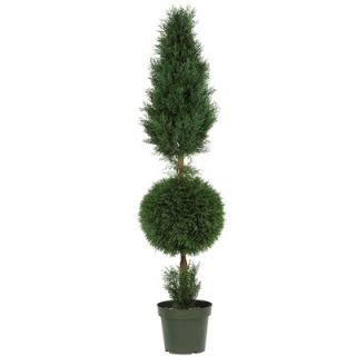 Nearly Natural 60 Cypress Ball and Silk Cone Tree in Green