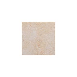 Interceramic Montreaux 6 x 6 Ceramic Wall Tile in Blanc