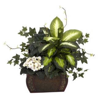 African Violet, Dieffenbachia and Ivy with Chest Silk Plant