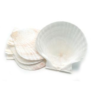 Fox Run Craftsmen Nantucket Seafood Natural Baking Shell (Set of 4