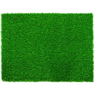 Everlast Diamond Pro Spring 96 x 60 Synthetic Lawn Grass Turf