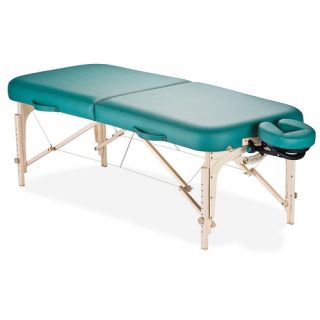 EarthLite Vortex Massage Chair Package   108