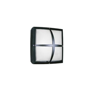LBL Lighting Geoform Two Light Square Visor Outdoor Wall Sconce in