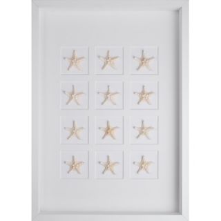 Mirror Image Home Starfish Art   30100 / 30101