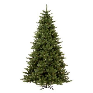 Vickerman Camdon Fir 5.5 Artificial Christmas Tree with Clear Lights