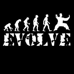 tai chi chuan chinese martial art evolution t shirt from