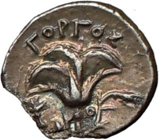 Greek Island of Rhodes Helios Rose Authentic Ancient Silver Coin 205BC