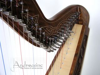  Quality 36 Strings Rosewood Celtic Meghan Harp w Case 3 Books