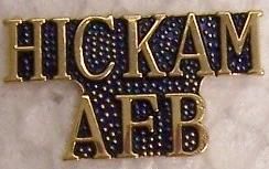  Lapel Push Tie Tac Pin Air Force Base Text Hickam AFB Text New