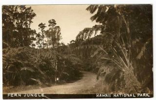 postcard of the fern jungle in the hawaii national park