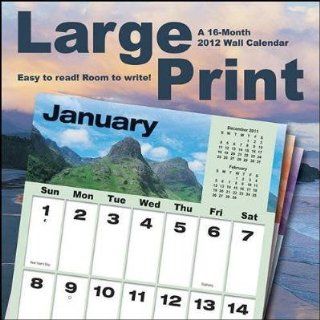 Large Print 2012 Wall Calendar
