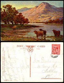Highland Cattle Scotland 1919 Old Postcard Mountains Lake River