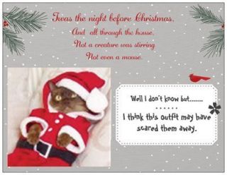  Humorous Cat in Santa Suit Post Cards Holiday Greetings