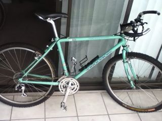 Bianchi Grizzly Classic Lugged Rigid MTB XT SLR Scott Ritchey Fizik