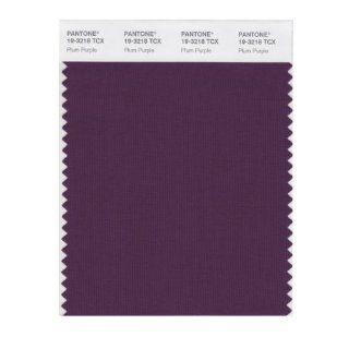 PANTONE SMART 19 3218X Color Swatch Card, Plum Purple