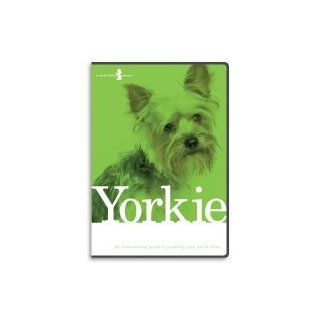 Yorkshire Terrier, Yorkie, Dog Grooming Instructional How