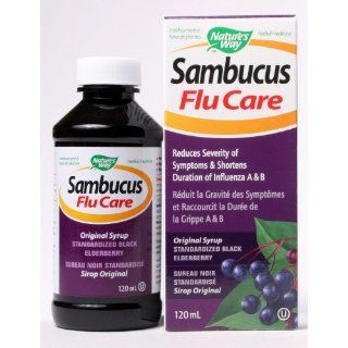 Sambucus FluCare Syrup Original / 120 mL Brand Natures