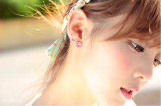 New Hot Korean Earring Silver Swarovski Stone Earrings Made in KOREA1