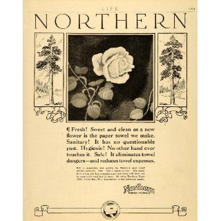 1920 Ad Northern Tissue Paper Towels Rose Pine Trees