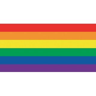 Rainbow Pride Flag Beach Towel: Everything Else