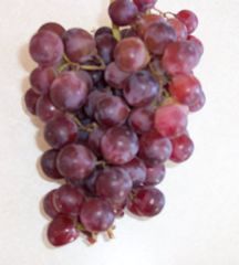 GIANT RED DRAGON Grapes~ 10 Stratified SEEDS~ ORGANIC,SWEET JAM, WINE