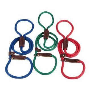 Slip Lead for Dogs 6 Foot Lime