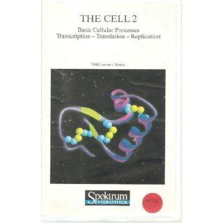 The Cell 2  Basic Cellular Processes, Transcription