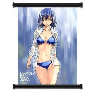 Fairy Tale Anime Fabric Wall Scroll Poster (16x23