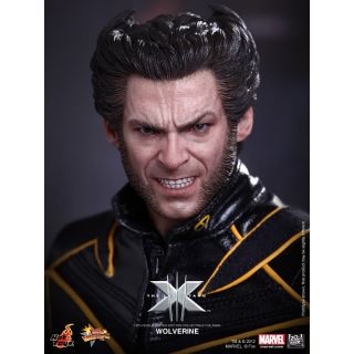 Last Stand 1 6 Scale Wolverine Hugh Jackson Marvel Xmen Figure