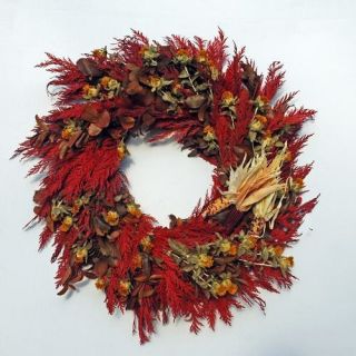 25 Indian Corn Autumn Wreath Preserved Cedar Safflowers Fall Wall