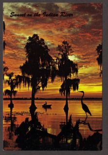 Sunset on The Indian River FL Vintage Postcard Unused