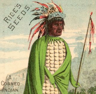 Indian Corn Rices Seeds Cory Seed Corn Veggie People Victorian Adv