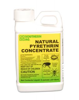 Natural Pyrethrin Concentrate Organic Insecticide 8oz