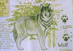 Wiens Grey Wolf Placemat New Set of 4