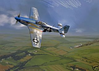 Mustang Ace Jack Fellows P 51 Cripes A Mighty Print