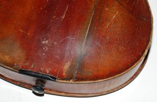 Early Antique Labelled Jacobus Stainer 1686 4 4 Violin Vintage String