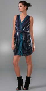 Anna Sui Painted Stripes Dress