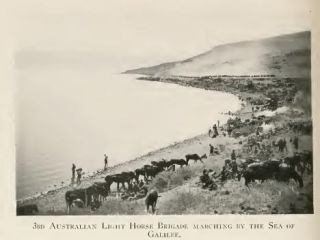  australia in palestine 1919 author gullett henry somer barrett charles