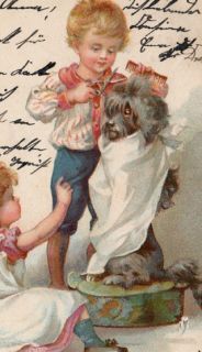 Antique postcard Children girl & boy cutting dog s hair Poodle Lowchen