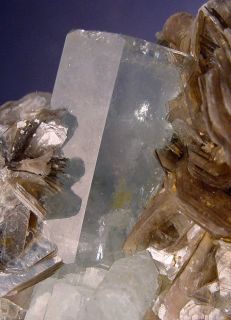 Spectacular Very Fine Gem Aquamarine Crystals in Mica Combination