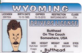 From Beavis and Butthead TV Cartoon Cool Plastic Collectors Card High