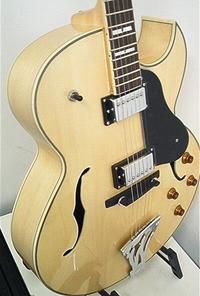 New Washburn J3 Hollowbody Jazz Blues Guitar Natural w Case