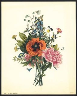 Jean Louis Prevost Vintage Botanical Print Poppies Peony Foxglove